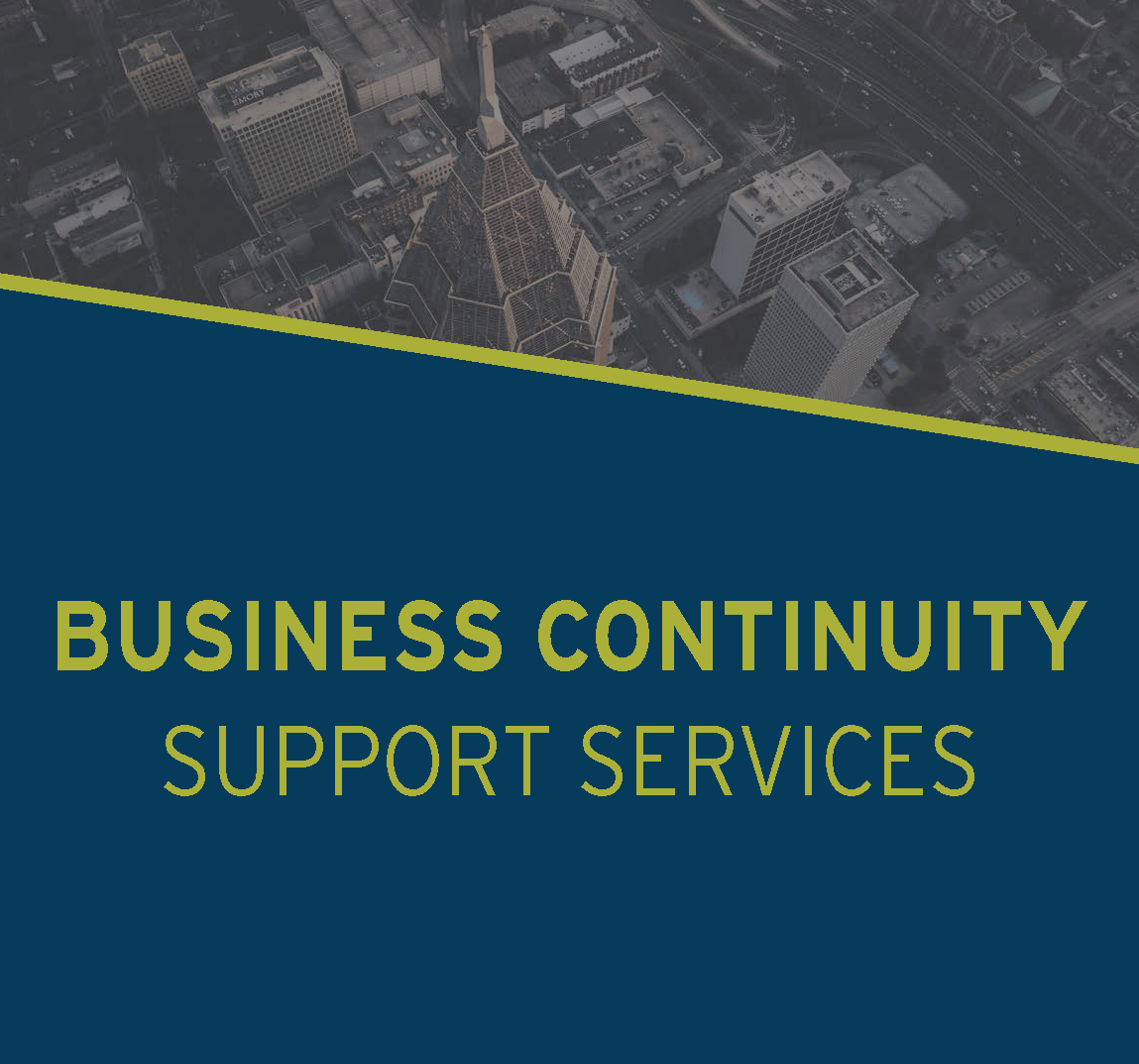 business continuity support services
